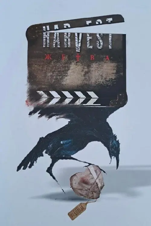 image-movies