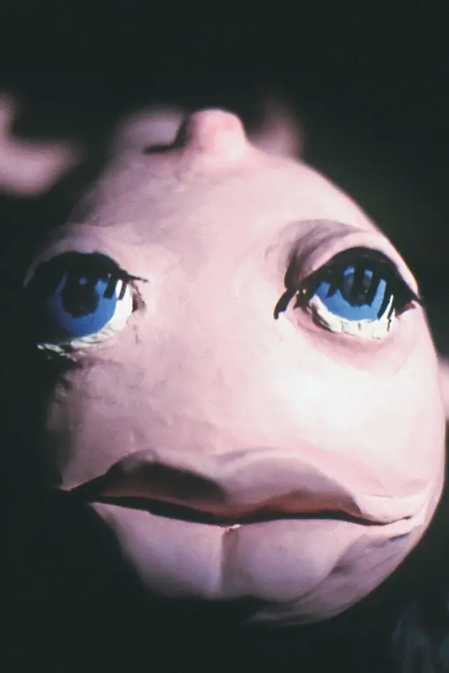 image-moviess