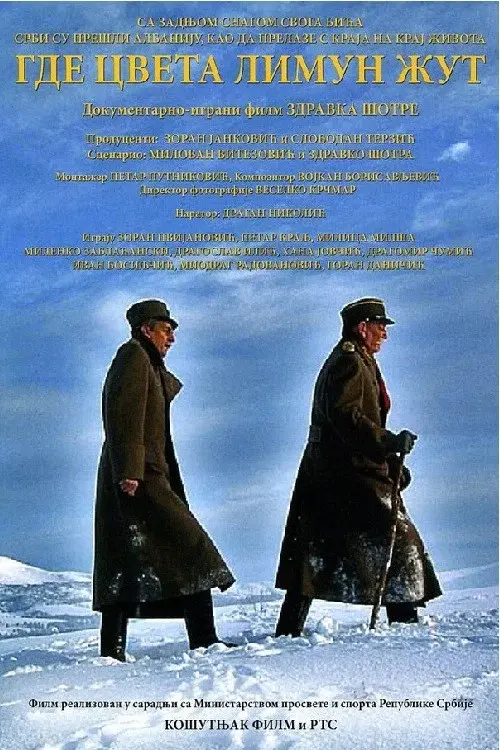 image-movies