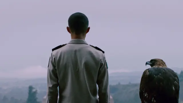 image-movies