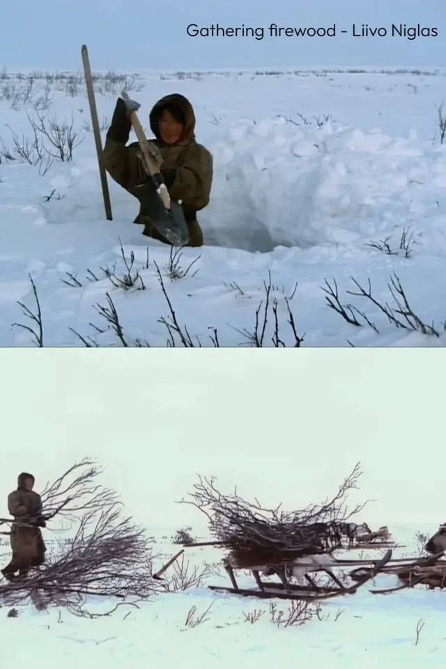 image-movies