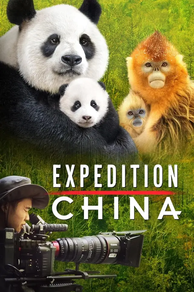 image-moviess