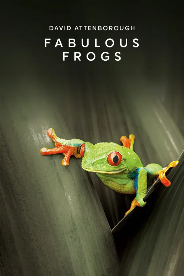 image-moviess