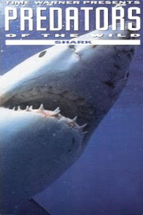 image-moviess