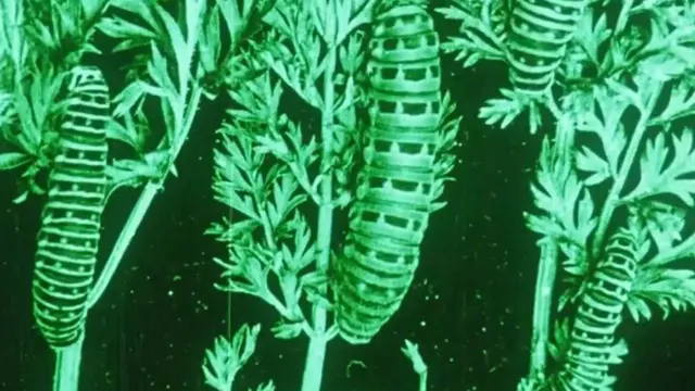 image-movies