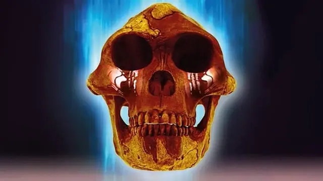 image-movies