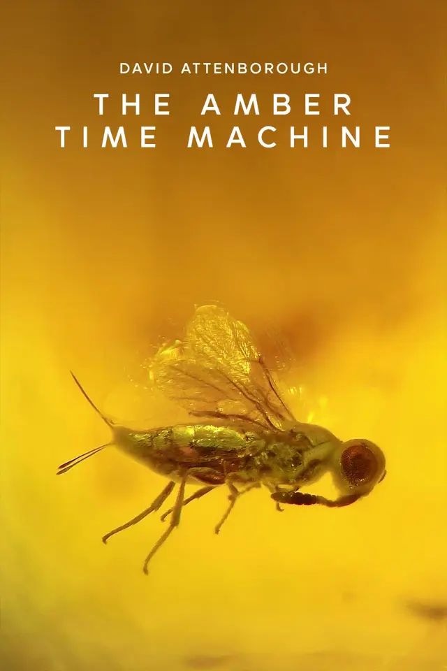 image-movies