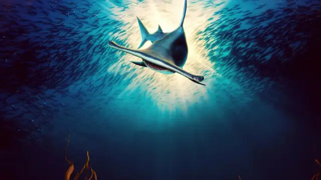 image-movies