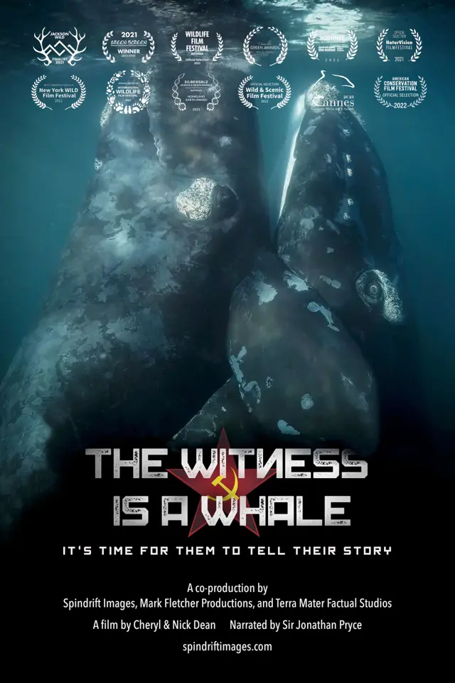 image-moviess